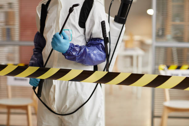 Professional Hoarding Cleanup technician working in Troy, TX